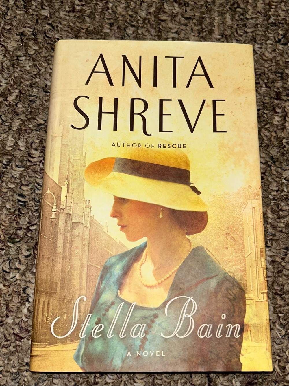 Stella Bain by Anita Shreve, Hardcover, First Edition, 2013